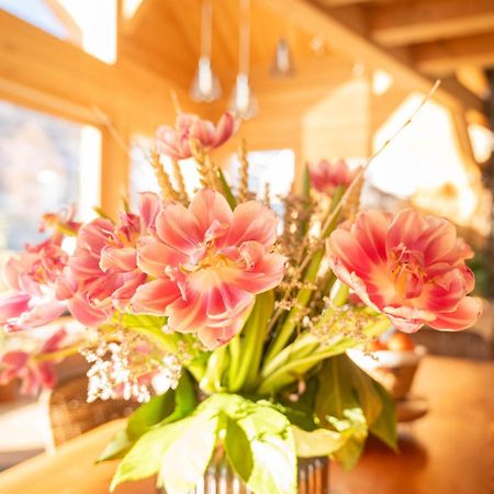 Chalet Ski Academie - Serre Chevalier Saint-Chaffrey Zewnętrze zdjęcie
